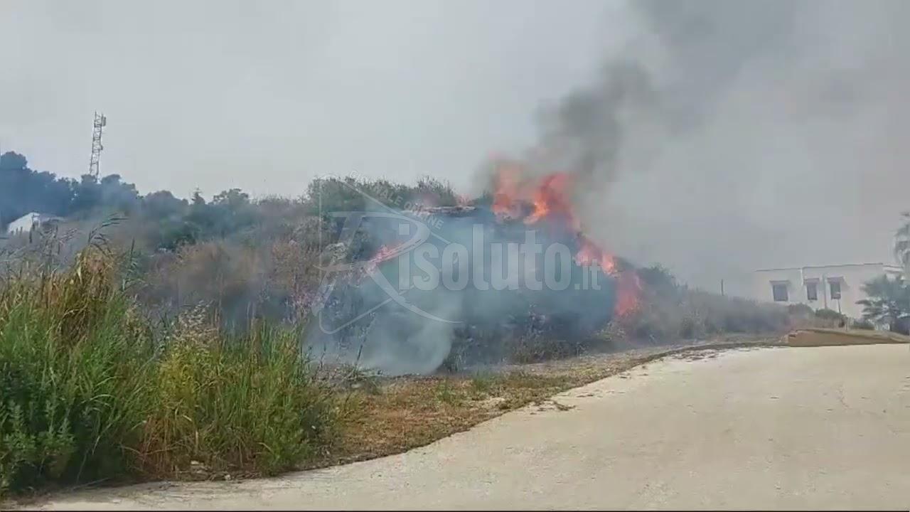 Incendio di sterpaglie a Renella, vigili del fuoco in azione (Video)