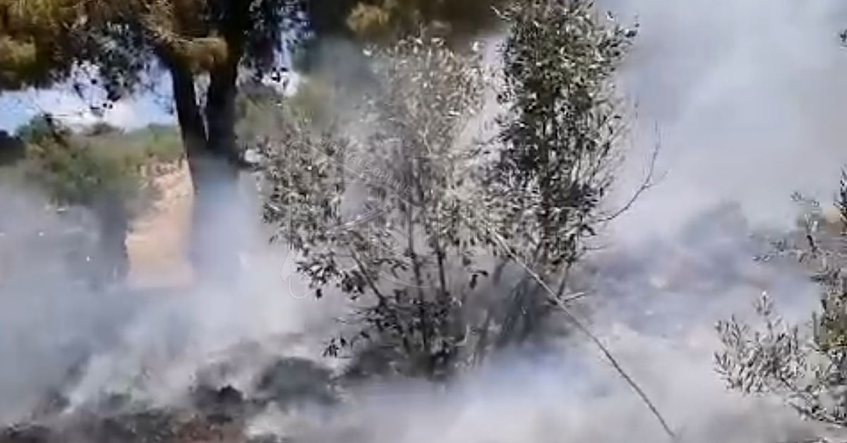 Ancora incendi questa mattina in contrada Cava di Lauro a Sciacca (Video)