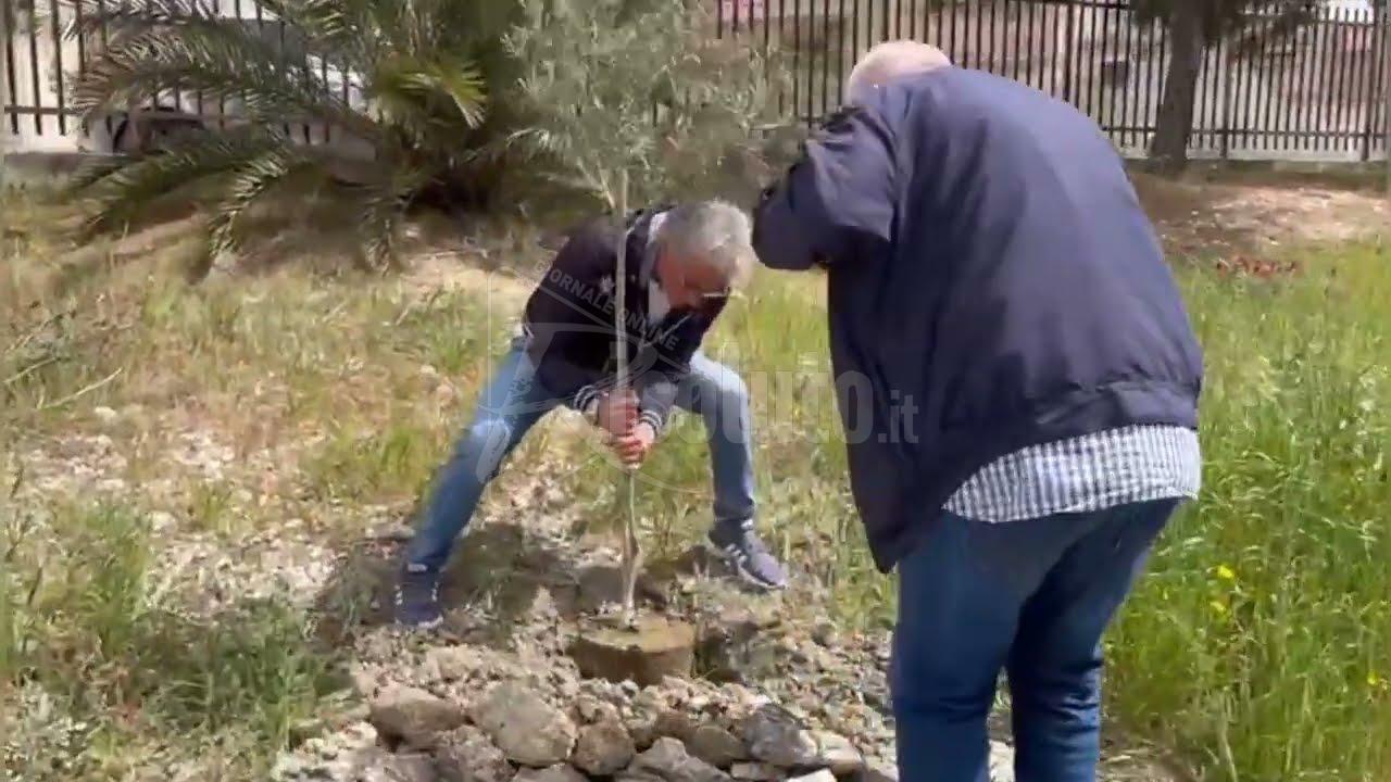 Giardino diffuso dei Giusti, Fidapa dedica albero a Angioletta Scandaliato (Video)