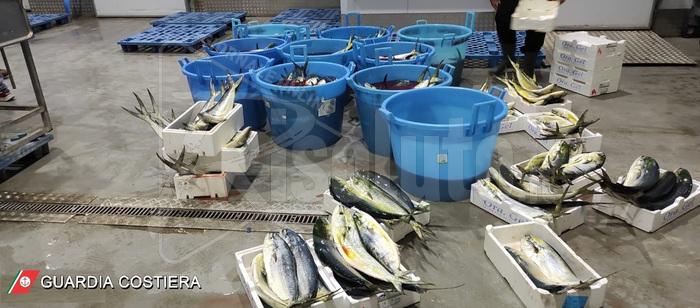 Pesca illegale,  la Guardia Costiera di Porto Empedocle sequestra chilometri di reti
