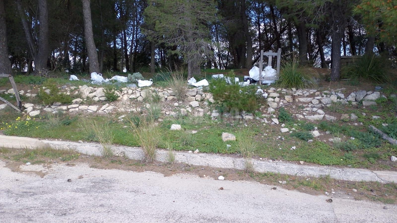 Pineta di San Calogero  nel degrado, e' proprietà privata ma meta di turisti