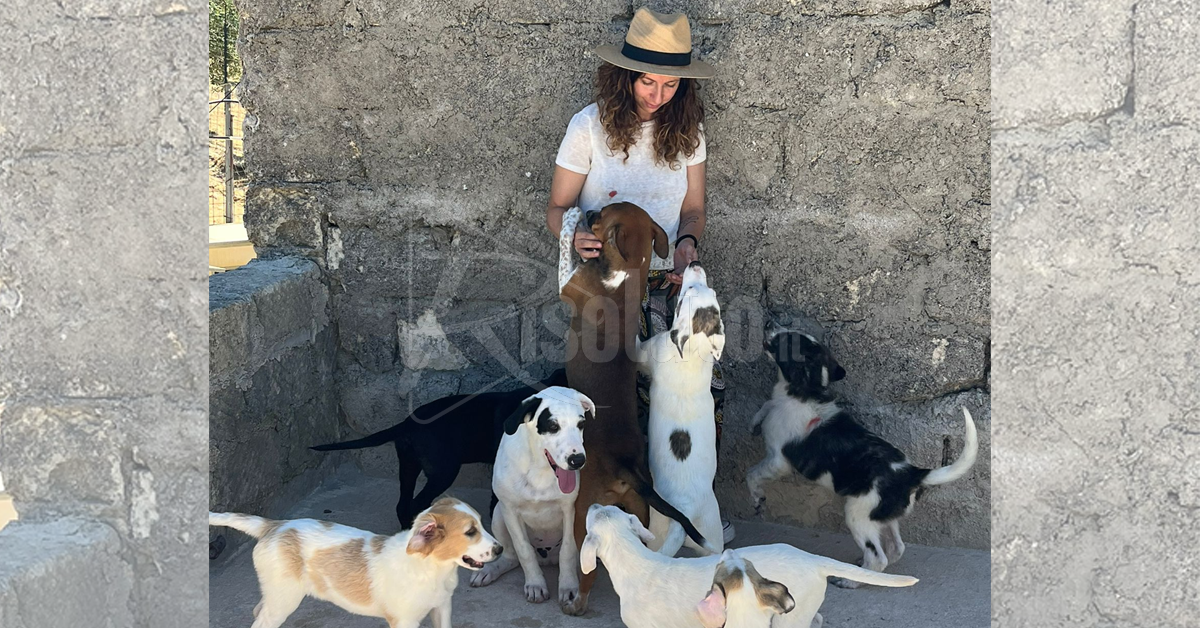 L’Oasi Ohana di Santa Margherita Belice stasera a Tg2 Storie per promuovere l’adozione dei cuccioli