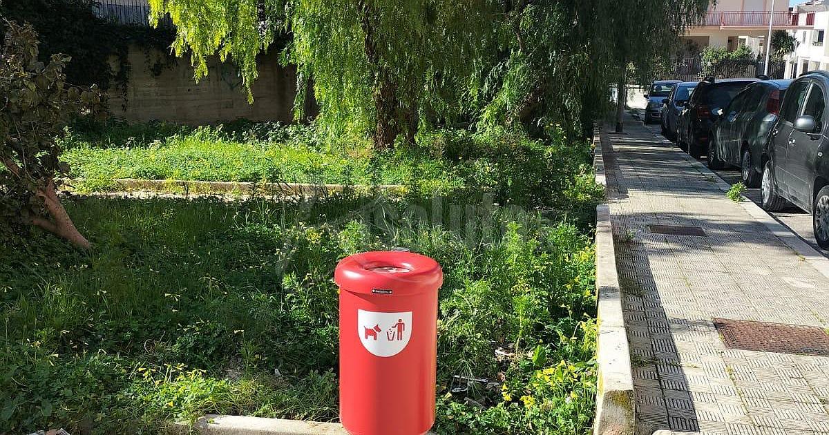 Interventi di decoro urbano a Sciacca per gli animali, collocati cestini per le deiezioni canine