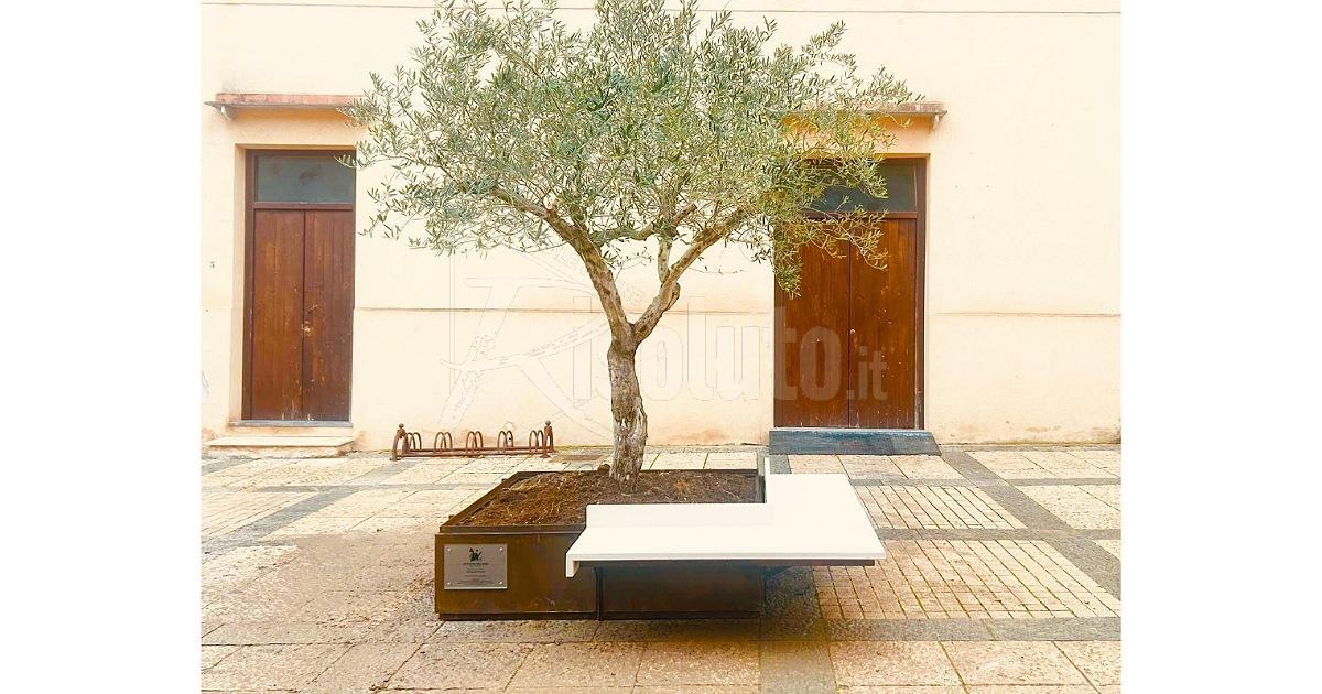 Menfi inaugura un arredo urbano in memoria di Nino Buscemi