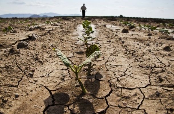 Crisi irrigua, consiglieri di Ribera scrivono al Prefetto: "Siccità minaccia migliaia di lavoratori"