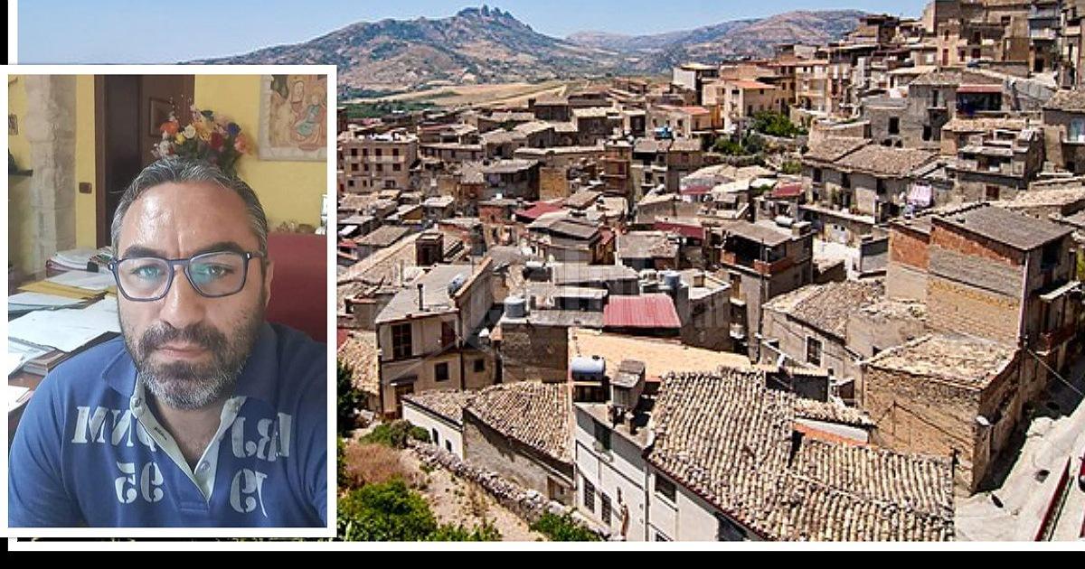 Atto intimidatorio ad assessore di Burgio, recisi 8 ulivi