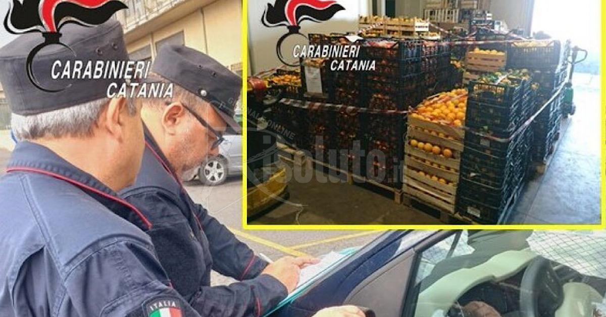 Sequestro a Catania di 8 tonnellate di agrumi, violazione delle normative di tracciabilità