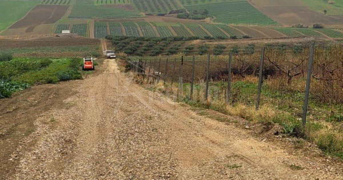 Lavori alla viabilità extraurbana a Sciacca, assessore Dimino: "Notevoli progressi in corso"
