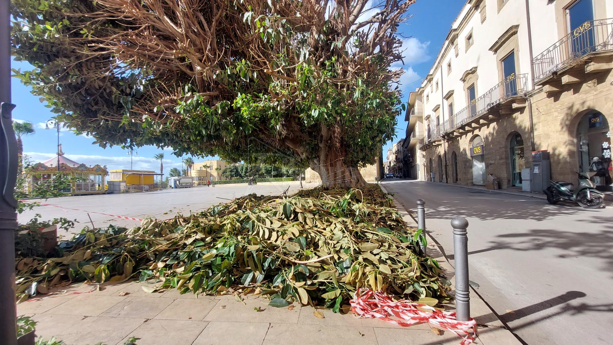 Albero di Natale in piazza Scandaliato, bisognerà attendere lunedì