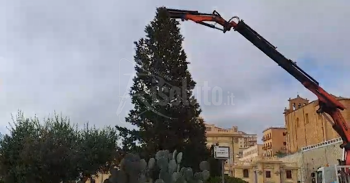 Ad Agrigento collocato l’albero di Natale e si prepara il concerto di Capodanno (Video)