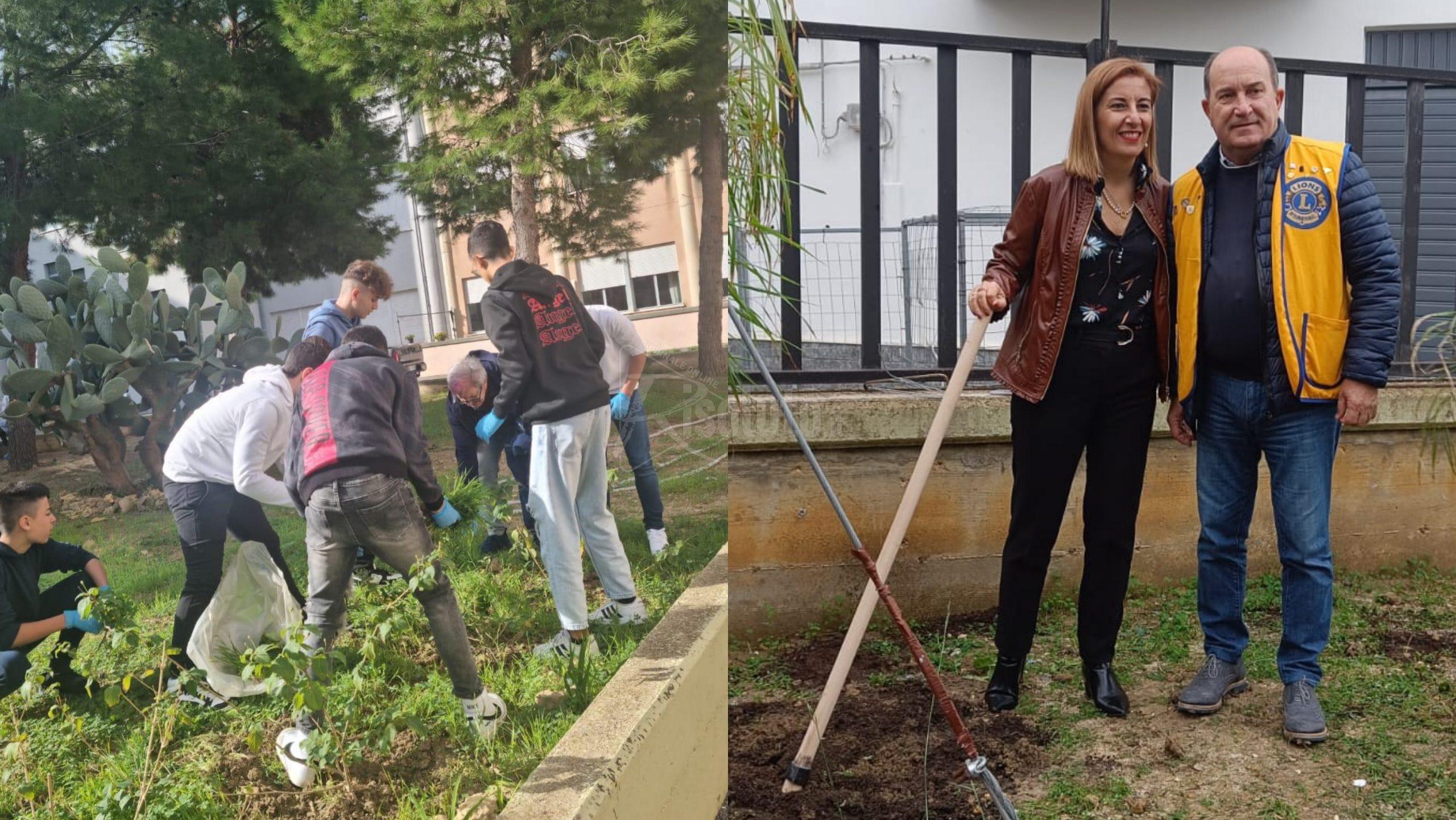 Il Lions Club Sciacca dona piante al liceo scientifico “Fermi” 