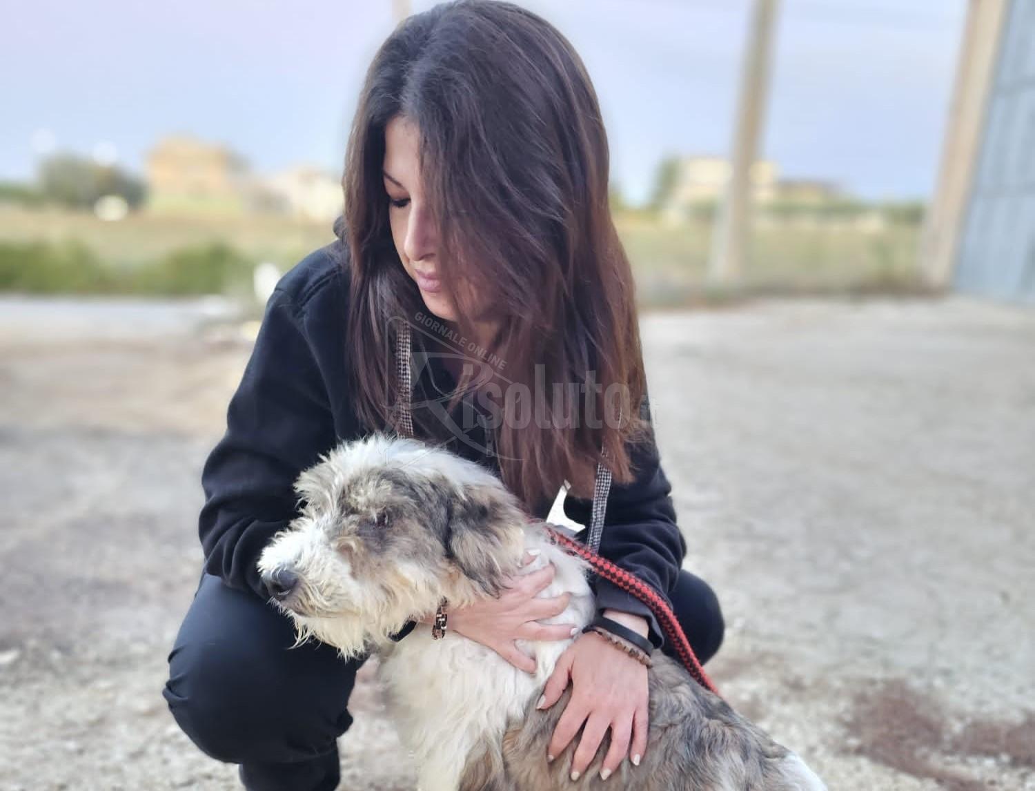 Cani di 15 e 18 anni lasciano Sciacca per essere adottati da famiglie del nord Italia