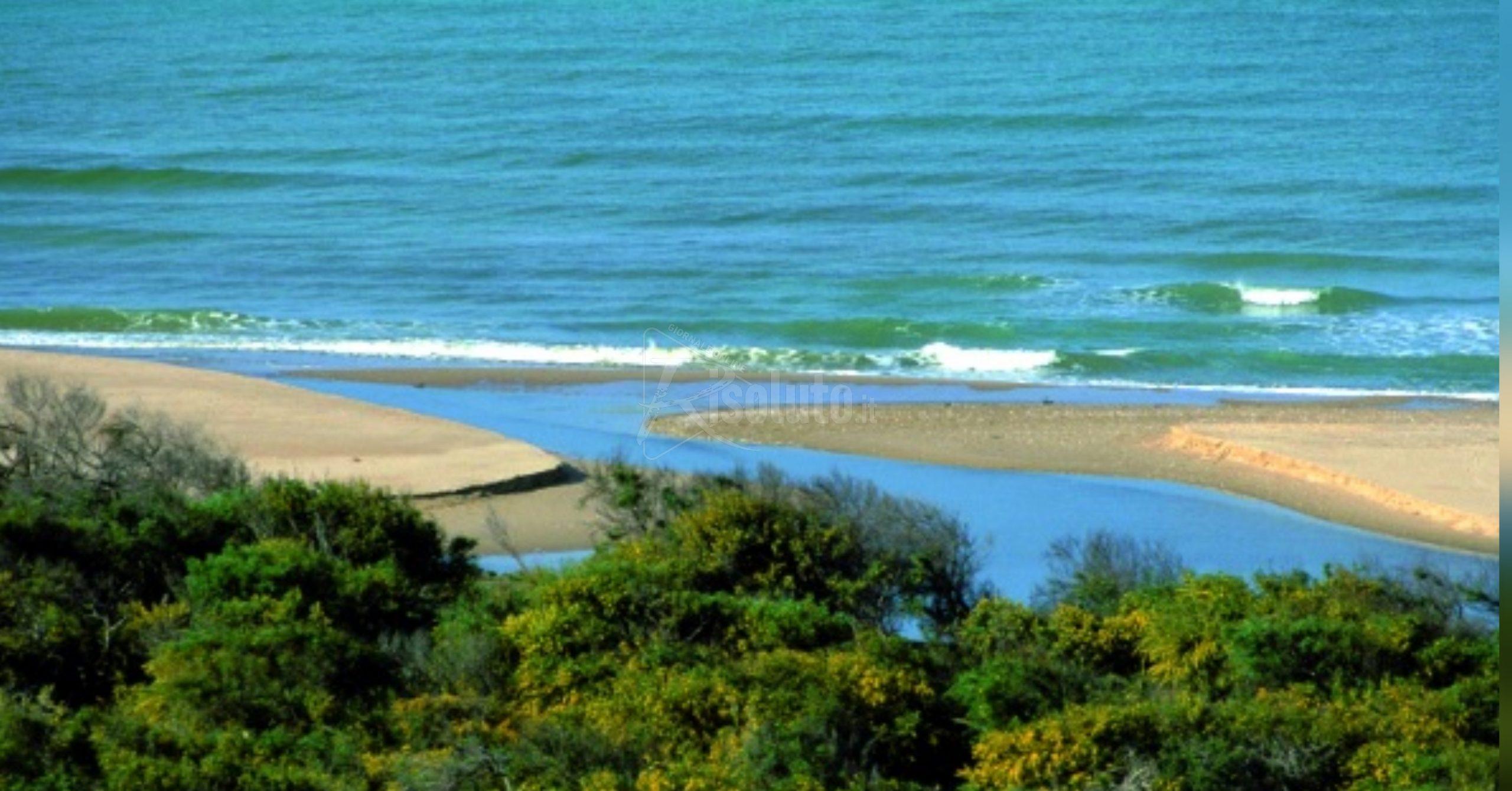 Ribera, scatta la pulizia del fiume Platani