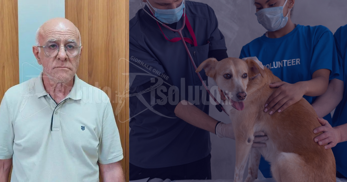 Sciacca, corso di formazione al soccorso per la gestione degli animali