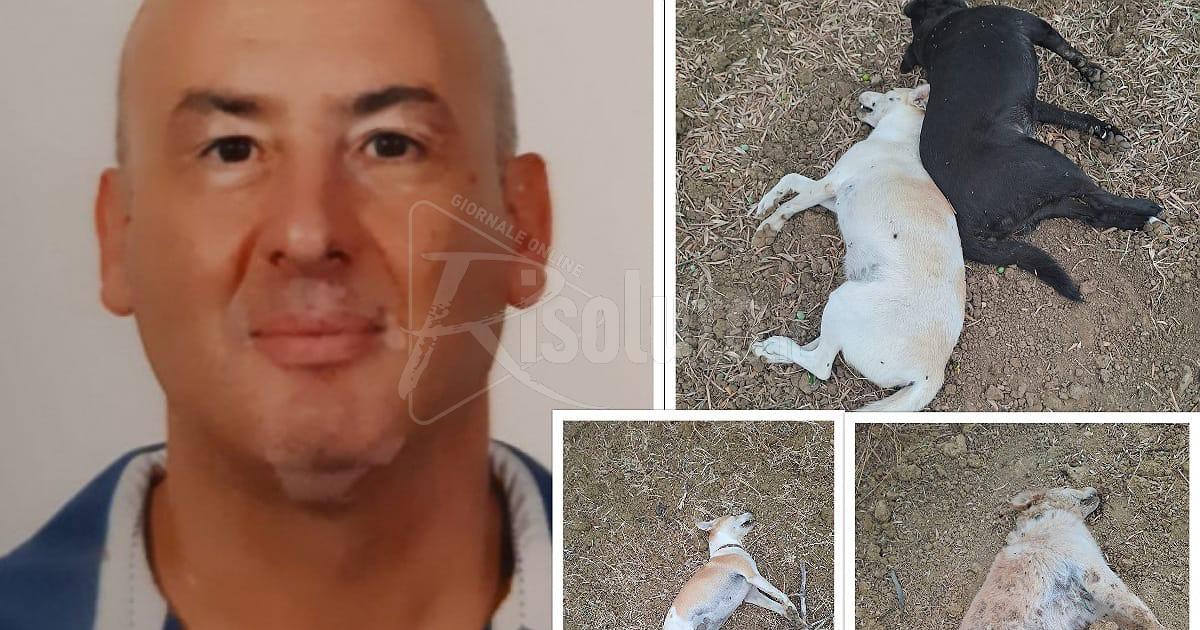 A Menfi uccisi i cani del medico Domenico Santangelo