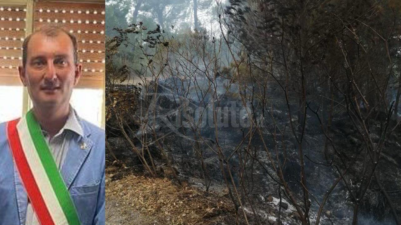 Incendio nel bosco Pizzo di Santa a Lucca Sicula, il sindaco: "Si trovino i responsabili"