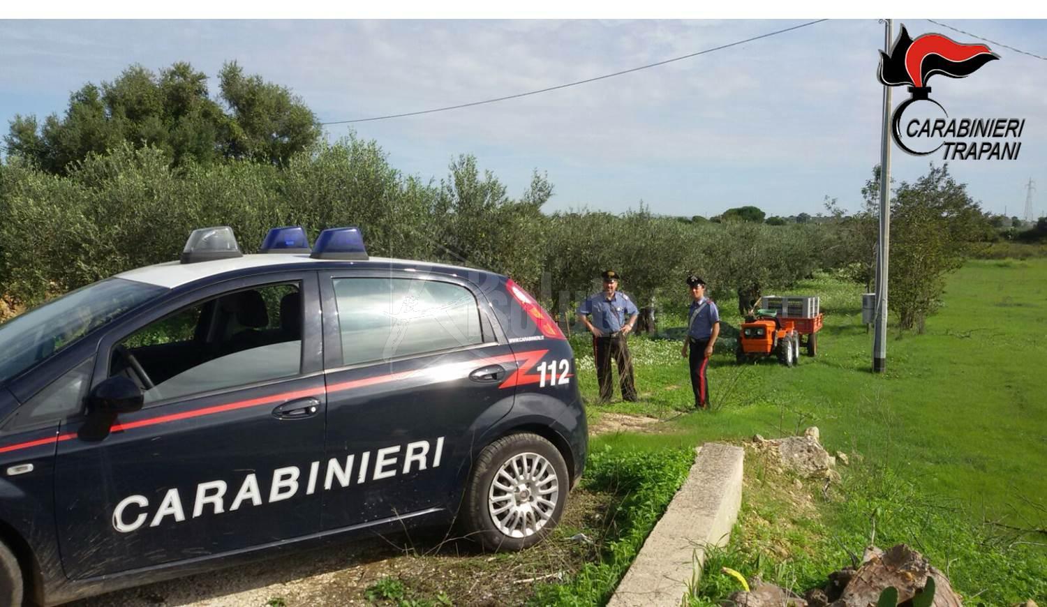 Raccoglieva olive in un terreno non di proprietà con operai in nero, sanzione da oltre 20 mila euro a donna di Salemi