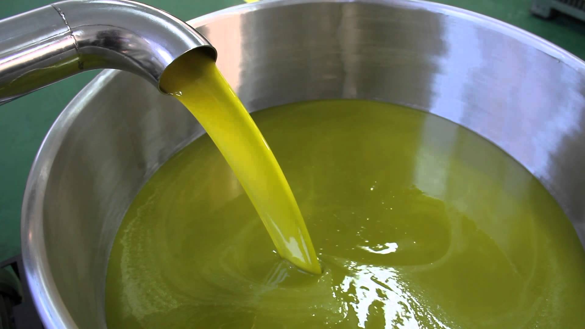 Settore olivicolo in ginocchio, Iacono: «Sia riconosciuto lo stato di calamità»