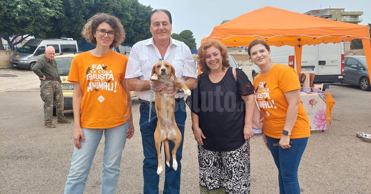 Contrastare l'abbandono dei cani, Lav in campo oggi a Sciacca (Video)