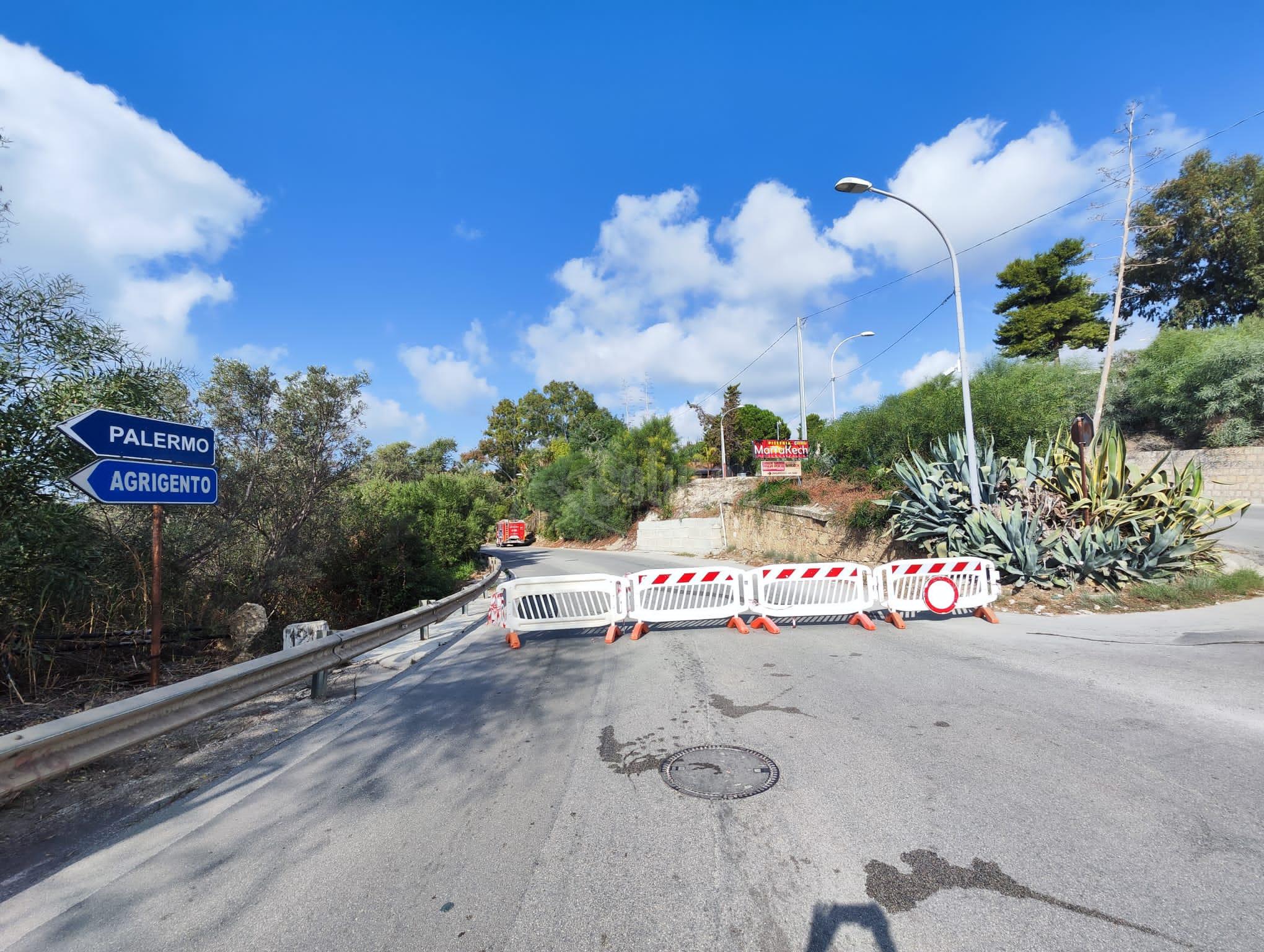Chiusa via Ghezzi, intervento in corso per pericolo di caduta altri alberi