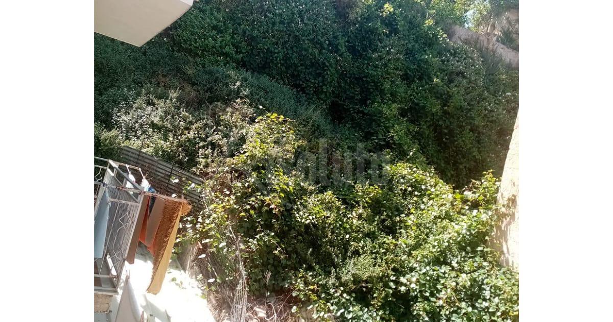 Stato di abbandono in via Messina a Sciacca, interrogazione del consigliere Bivona