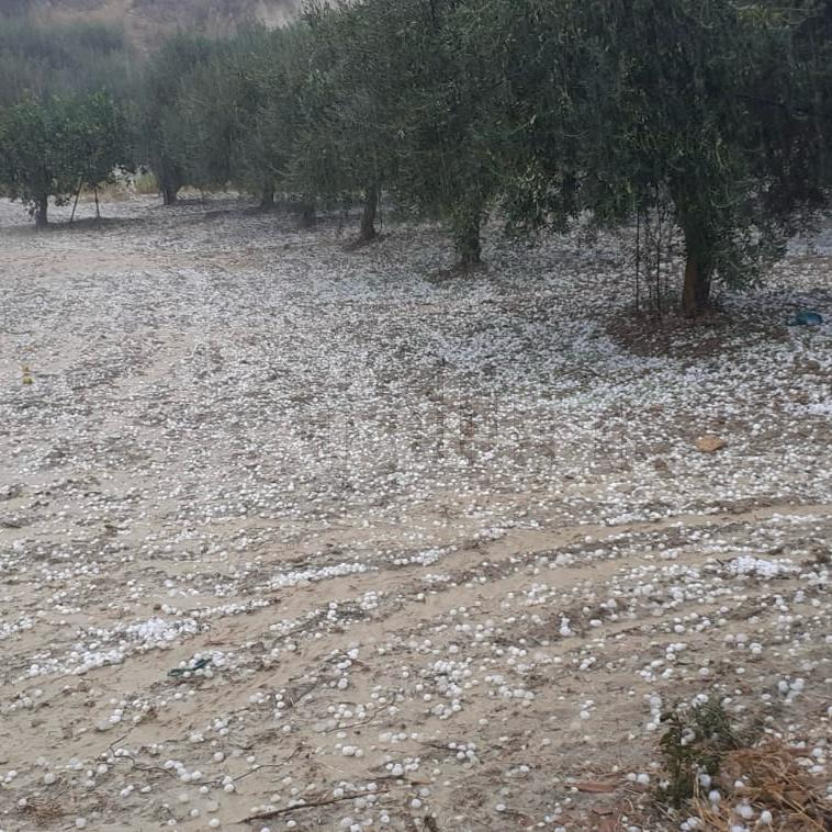 La grandinata di stamattina fa danni a Ribera, il sindaco chiede lo stato di calamità naturale