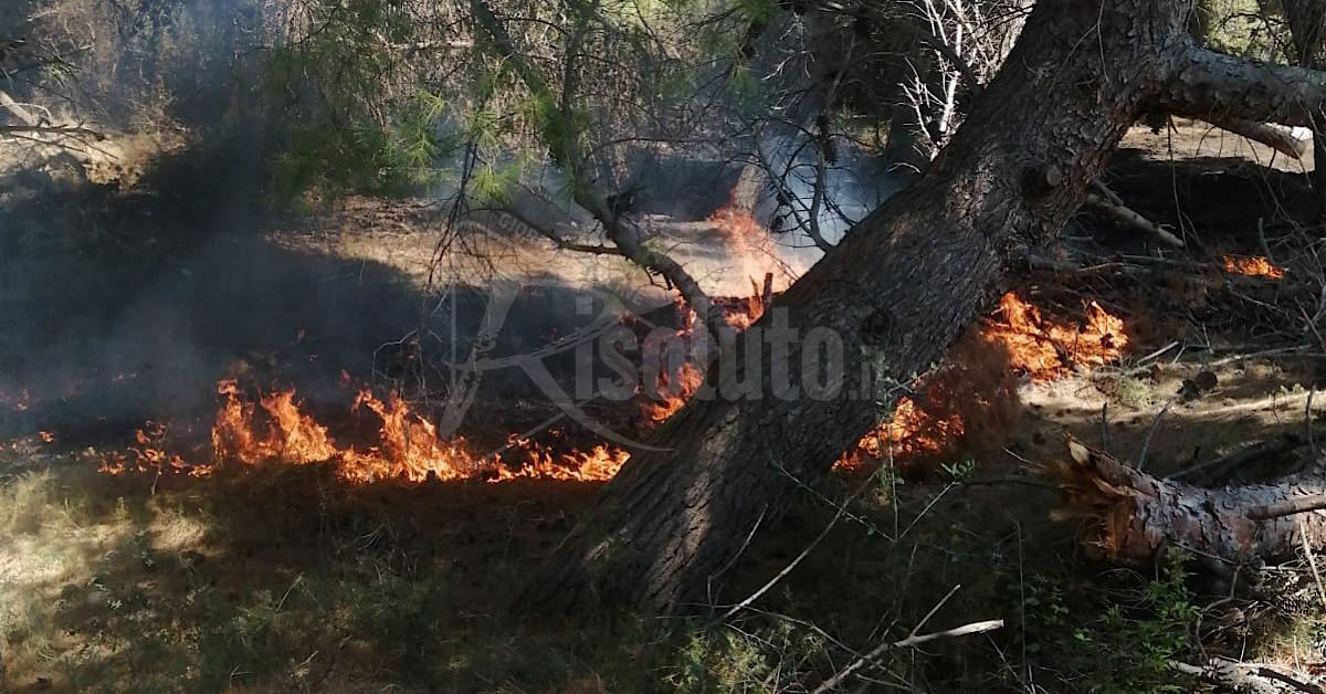 Altri incendio nella contrada Sovareto di Sciacca, fiamme sempre nella stessa zona