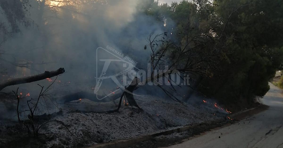 Incendi a Sciacca e il Comune non sempre riesce a rintracciare i proprietari dei terreni