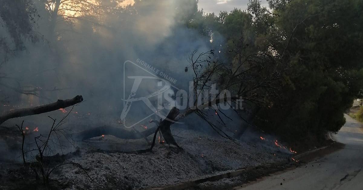 Sciacca, fiamme lungo la strada che conduce alla spiaggia di Sovareto (Video)