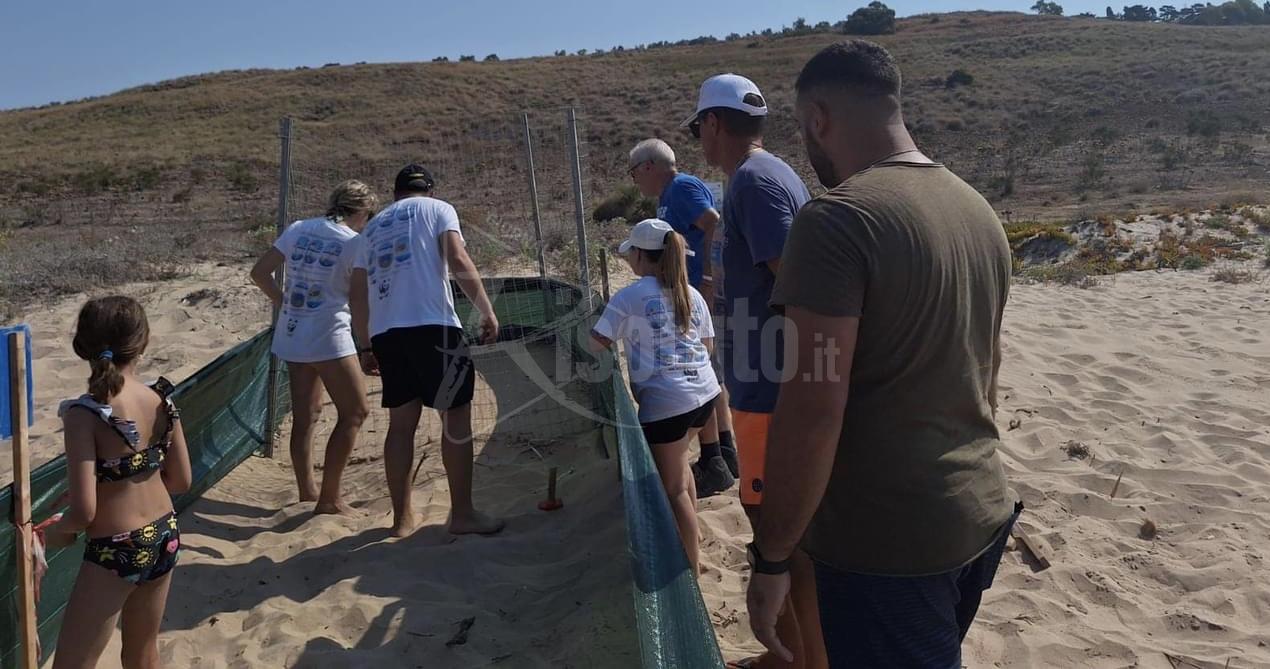 A Porto Palo di Menfi si attende la schiusa, pronto il corridoio per le “Caretta-caretta”