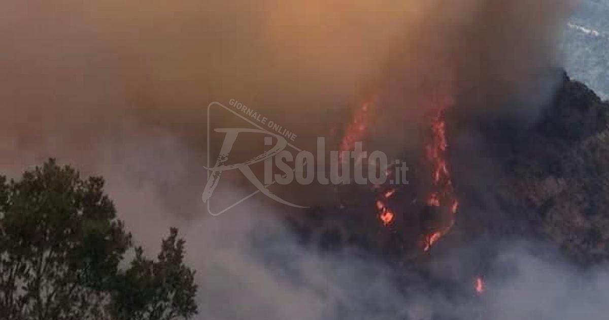 Incendio doloso nella riserva del Sosio