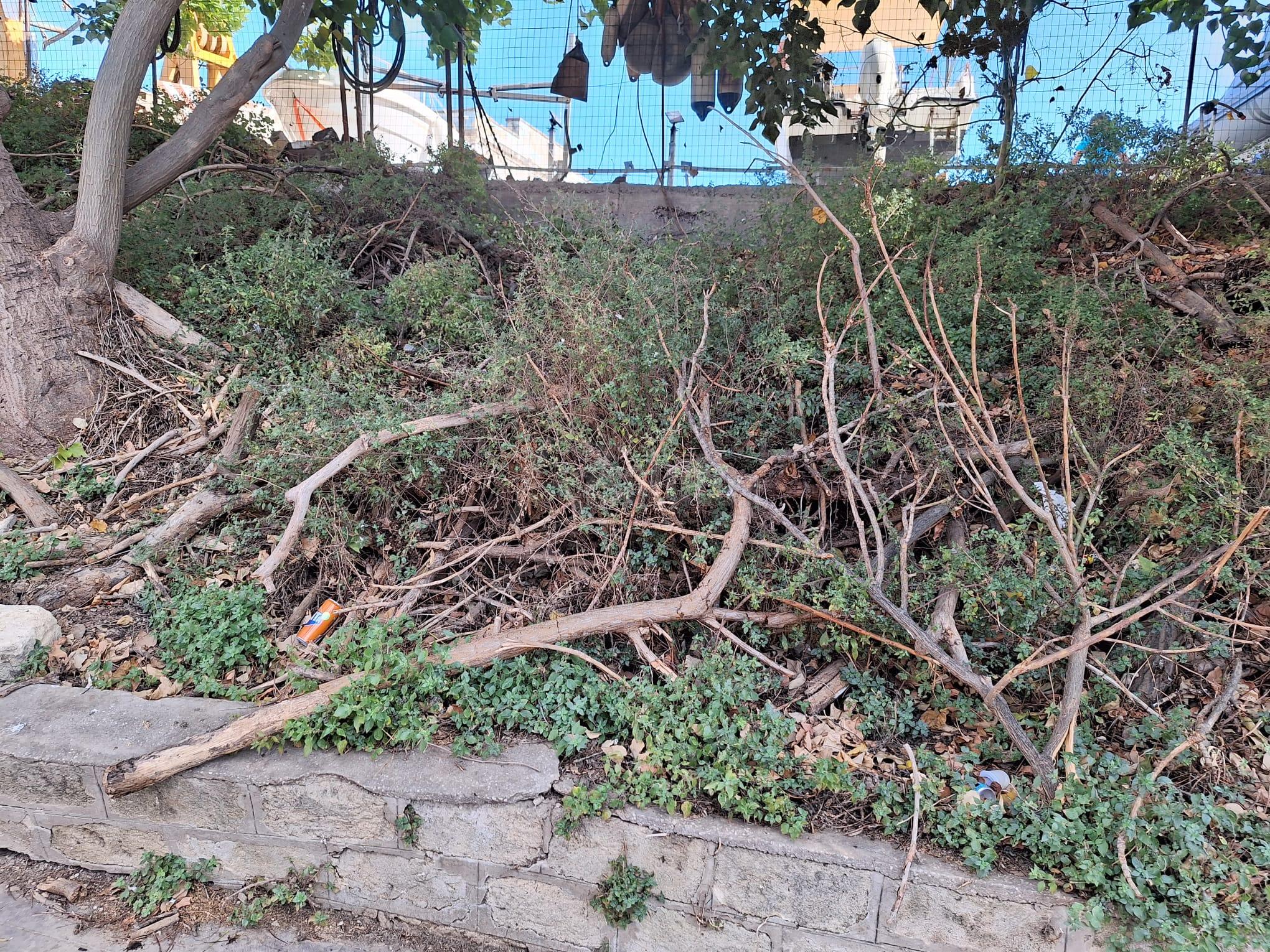 Rimozione rifiuti da potatura in via Gramsci a Sciacca, interrogazione di Clelia Catanzaro