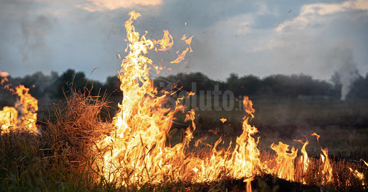Incendi in Sicilia, fiamme anche a Segesta e a Palermo muore un’anziana