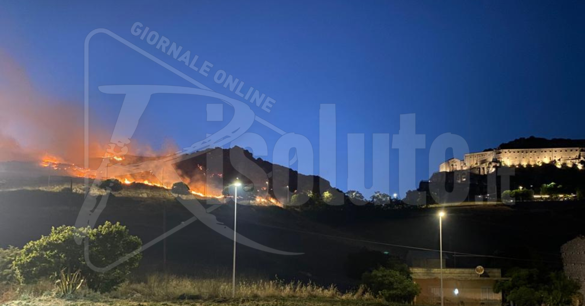 L’incendio divampato a Caltabellotta brucia anche un centinaio di pecore e 3000 alberi di ulivo (Video)