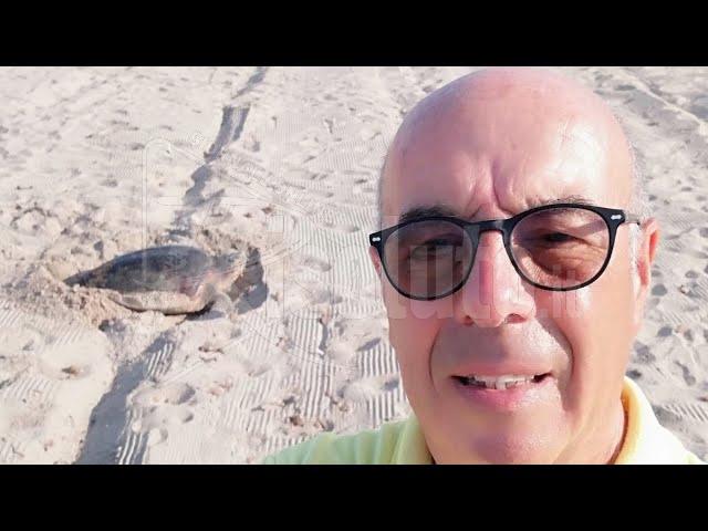 Deposito di uova di Caretta caretta sulla spiaggia di San Marco (Video)
