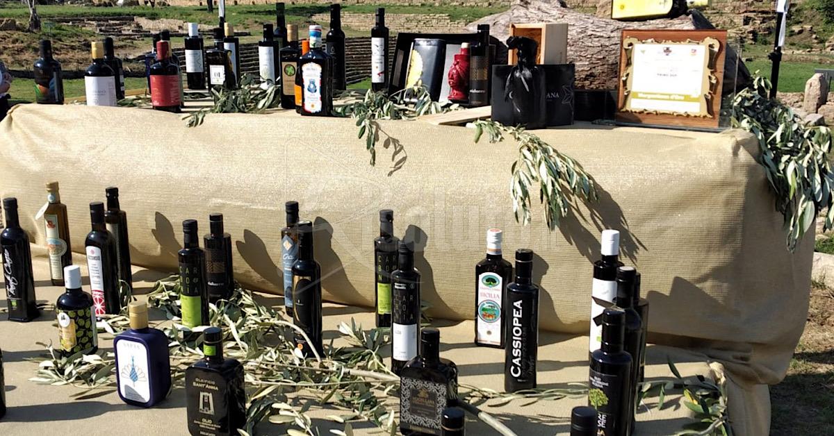 “Morgantinon 2023 degli oli evo siciliani”, bene il prodotto di Sciacca