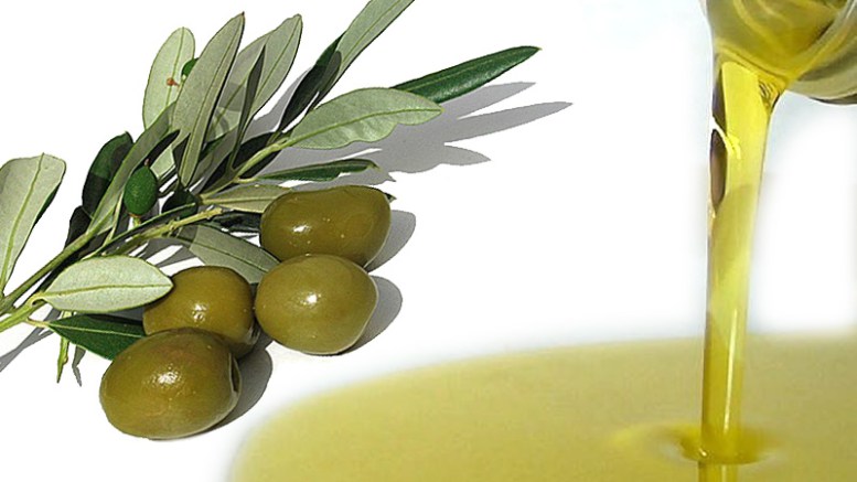 La Guardia di Finanza di Palermo sequestra al porto oltre 30 tonnellate di olio d’oliva classificato come "EVO"