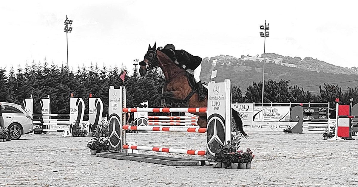 Equitazione, bene “New Camelot” di Sciacca ai campionati regionali a Buseto Palizzolo