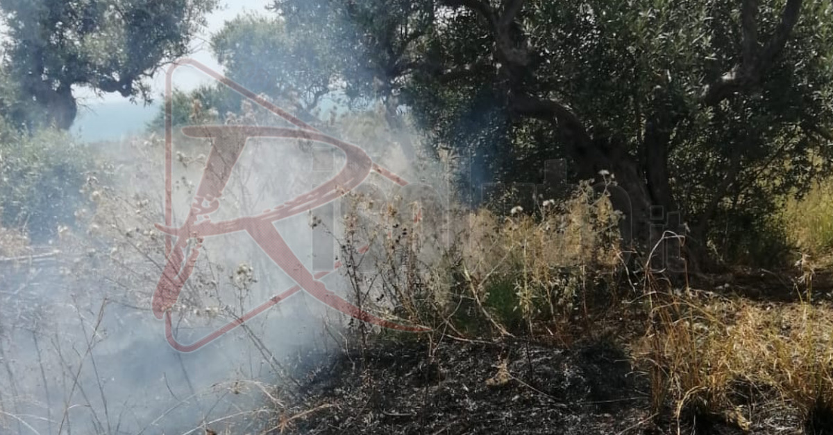 Incendio a Sovareto a Sciacca, le fiamme lambiscono il campo di Aquae Alabodes