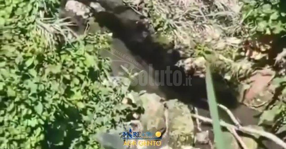 Depurazione delle acque a Montevago, si apre un confronto