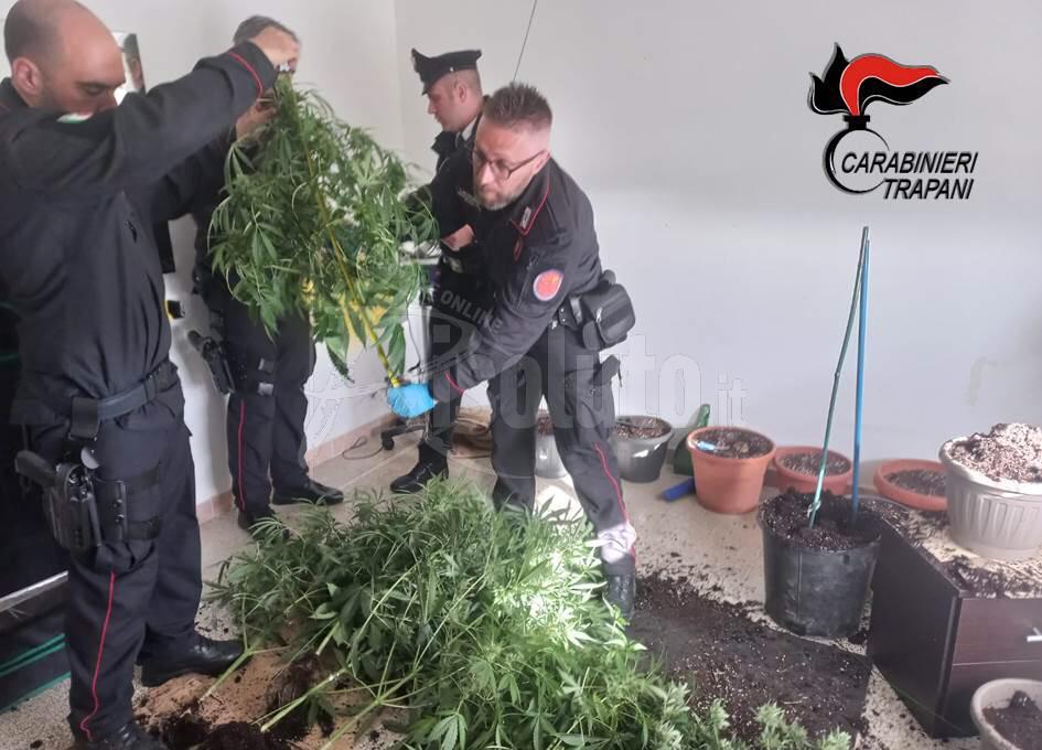 Scattano sei denunce nel marsalese per detenzione di droga e guida in stato di ebbrezza