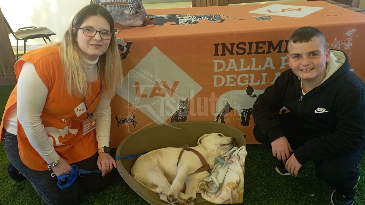 Cani e gatti a scuola per educare i bambini a tutelare gli animali (Video)