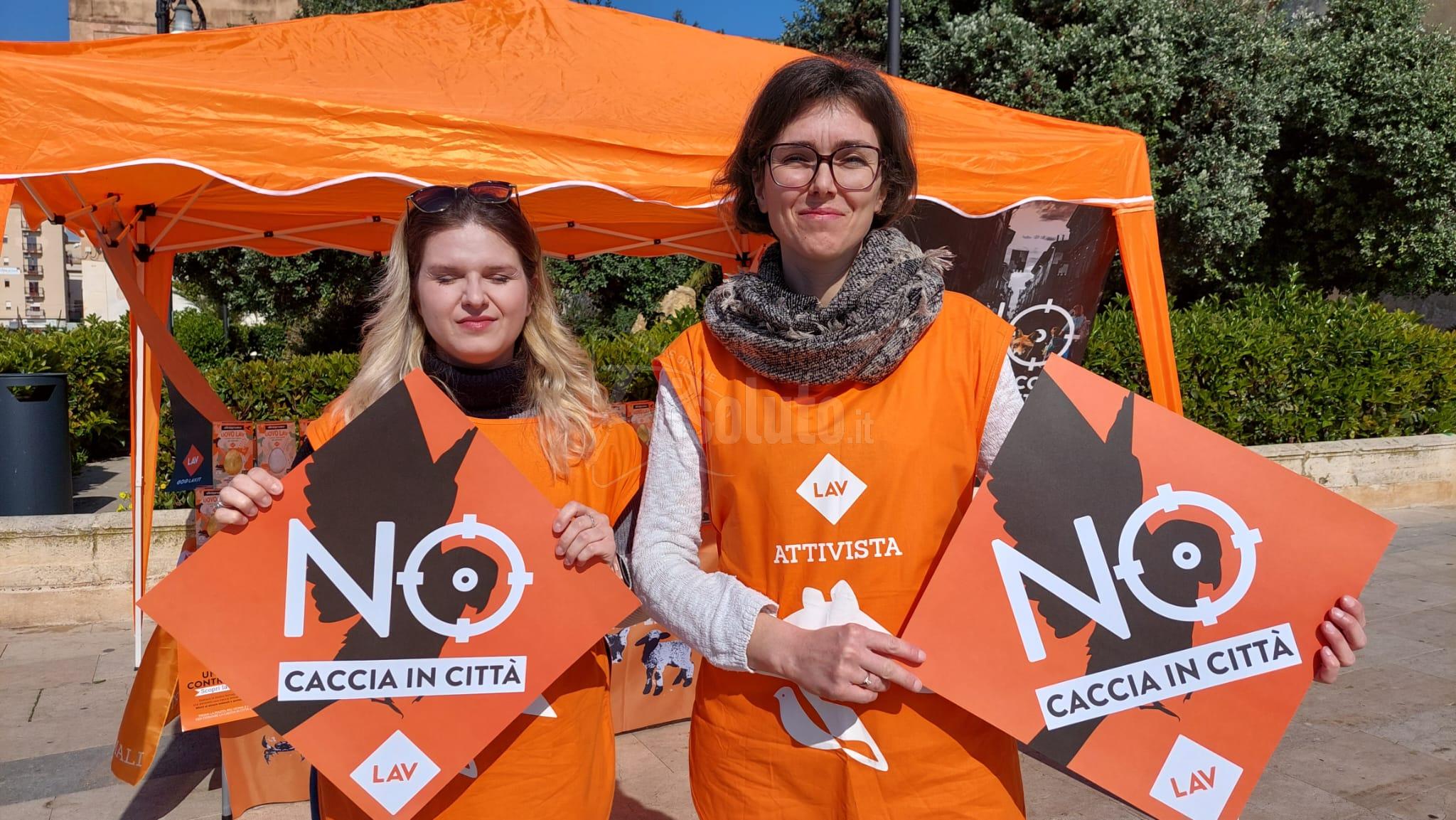 Caccia, Lav ancora in campo nel prossimo fine settimana a Sciacca