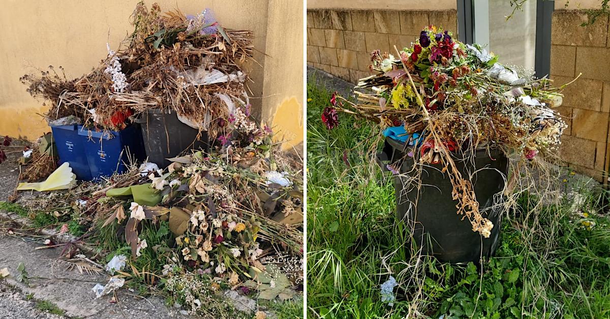 Degrado al cimitero di Sciacca, le consigliere Catanzaro e Santangelo si appellano all'amministrazione