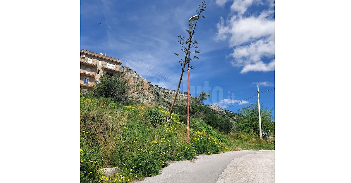 Sciacca, strade a rischio per la mancata scerbatura