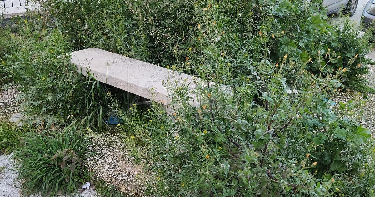 Pianificazione della scerbatura a Sciacca, la consigliera  Catanzaro la chiede in una interrogazione