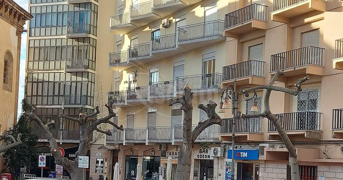 Alberi di via Incisa a Sciacca, il web insorge contro la potatura radicale