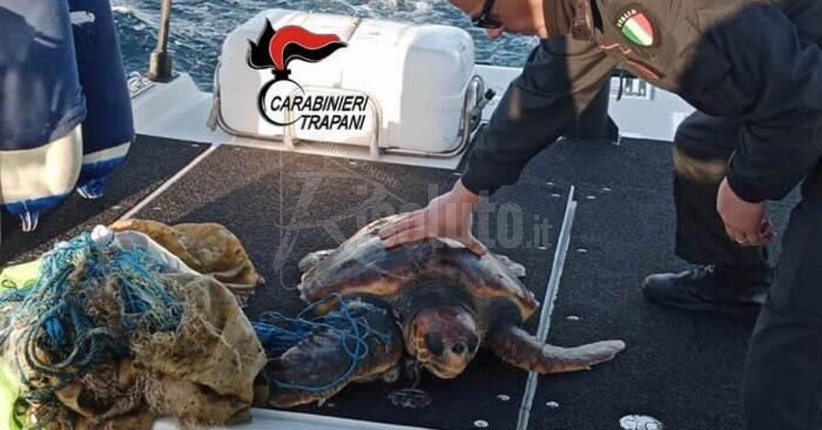 I carabinieri salvano una tartaruga a Favignana