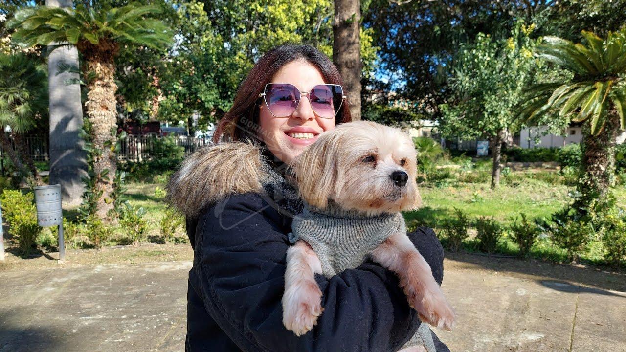 Cani di quartiere e sterilizzazione delle colonie feline, nuovi progetti a Sciacca (Video)