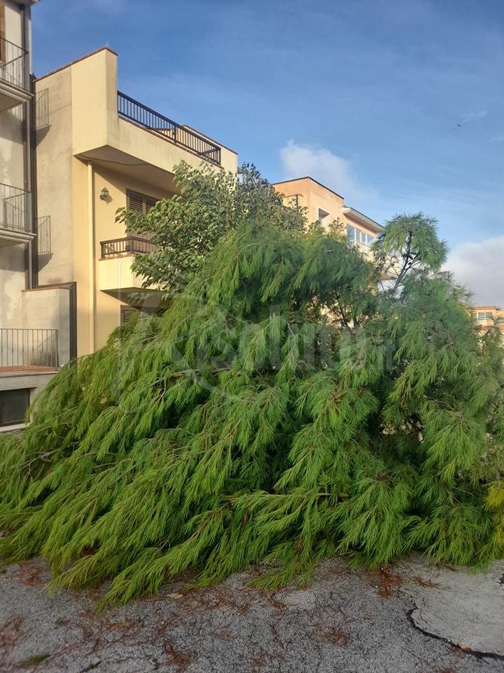 Danni della tromba d'aria di settembre a Santa Margherita, approvato emendamento all'Ars
